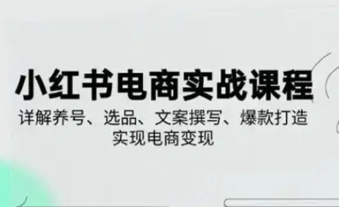 小红书从0-1实操课(2023-2025)，详解养号、选品、文案撰写、爆款打造实现电商变现-KK网创站