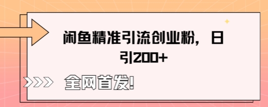 闲鱼精准引流创业粉，轻松日引200+-KK网创站